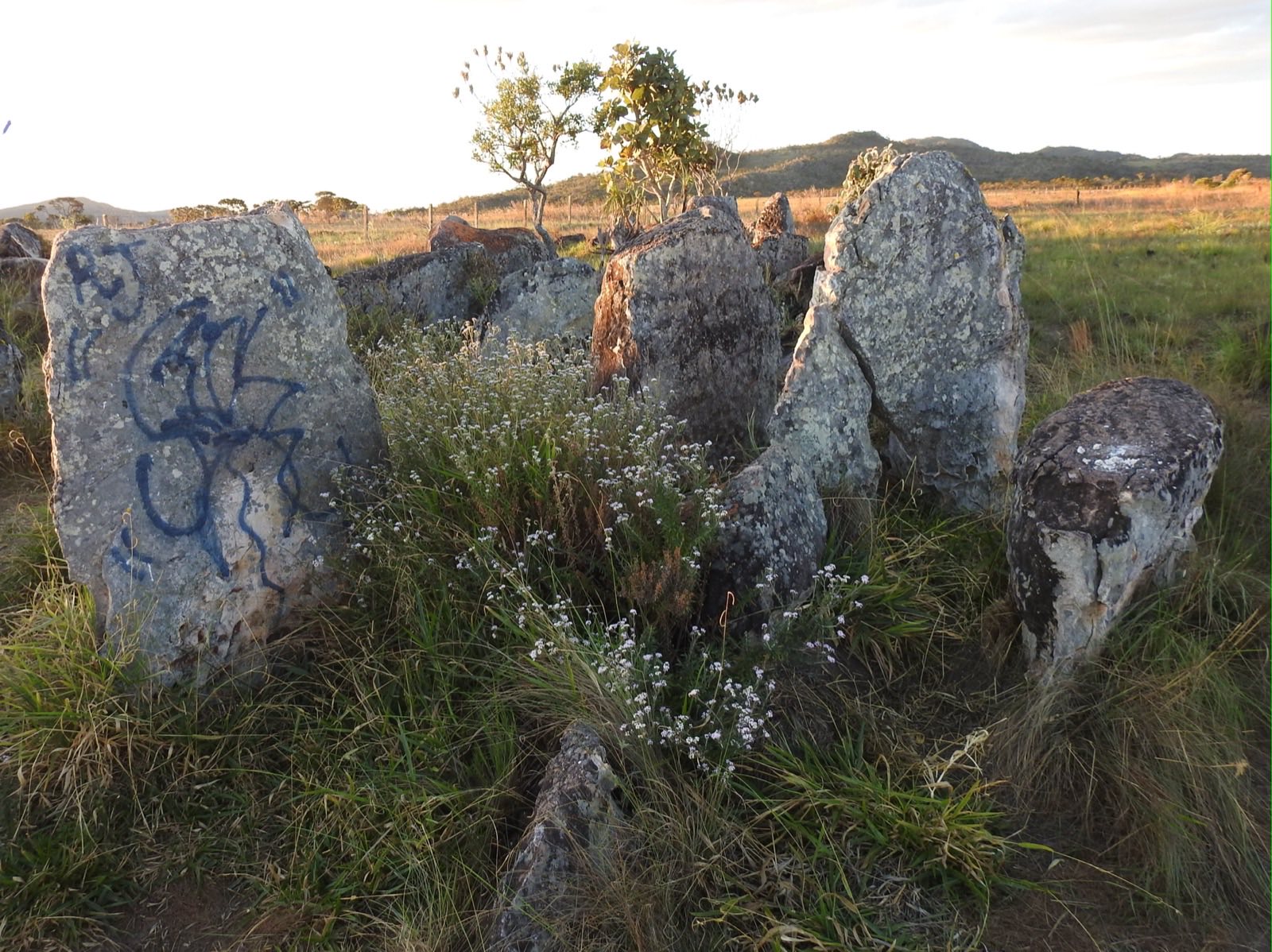 Marco do Paralelo 14, Chapada dos Veadeiros